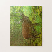 Cauvely Red Deer Stag Jigsaw Puzzle (Vertikal)