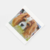 cav blenheim serviette (Ecke)