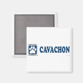 Cavachon Blue Magnet (Vorderseite/Rückseite)