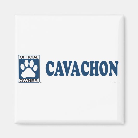 Cavachon Blue Magnet (Vorne)