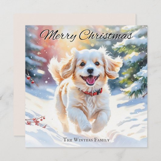 Cavachon Dog im Schnee Weihnachten (Vorne/Hinten)