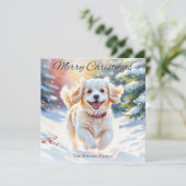 Cavachon Dog im Schnee Weihnachten (Stehend Vorderseite)