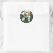 Cavachon Foto Phone Sticker, Hund Runder Aufkleber (Tasche)