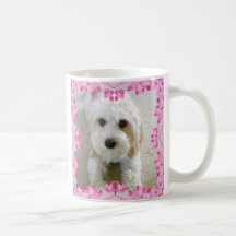 Cavachon-Foto-Tasse, Foto für kundenspezifische Do