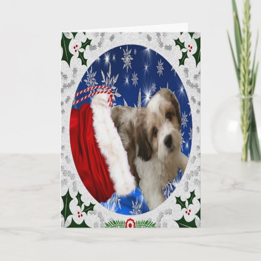 Cavachon Grußkarte, Weihnachtshund Feiertagskarte (Vorderseite)