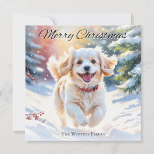 Cavachon-Hund im Schnee Weihnachten