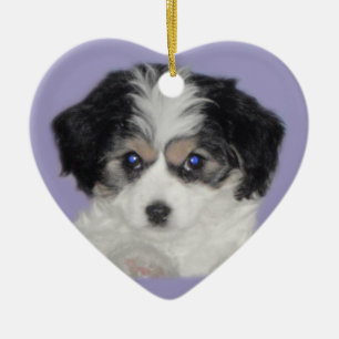 Cavachon Liebe-Keramik-Verzierung Keramikornament
