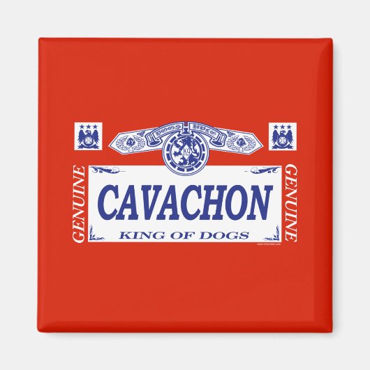 Cavachon Magnet (Vorne)