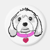 Cavachon Magnet (Vorne)
