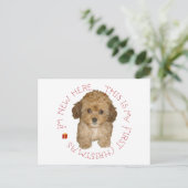 Cavachon Puppy Feiertagspostkarte (Stehend Vorderseite)