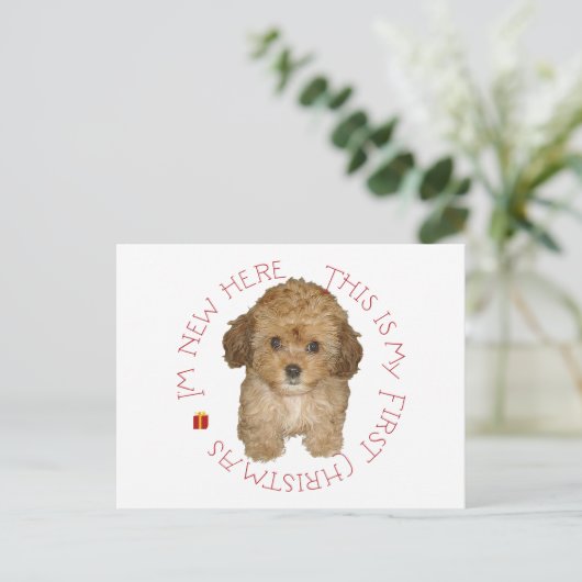 Cavachon Puppy Feiertagspostkarte (Stehend Vorderseite)