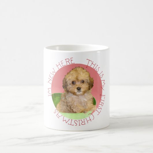 Cavachon Puppy Kaffeetasse (Mittel)