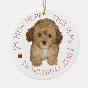 Cavachon Puppy Keramikornament