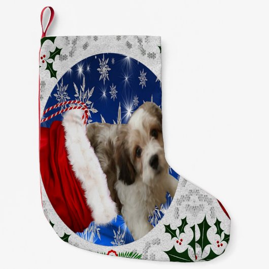 Cavachon Strumpf, Weihnachtshund Kleiner Weihnachtsstrumpf (Vorderseite)