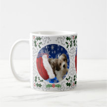 Cavachon Tasse, Weihnachtshund