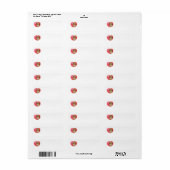 Cavachon Valentine (Vorne)