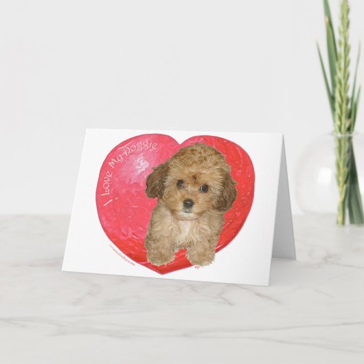 Cavachon Valentine Feiertagskarte (Vorderseite)