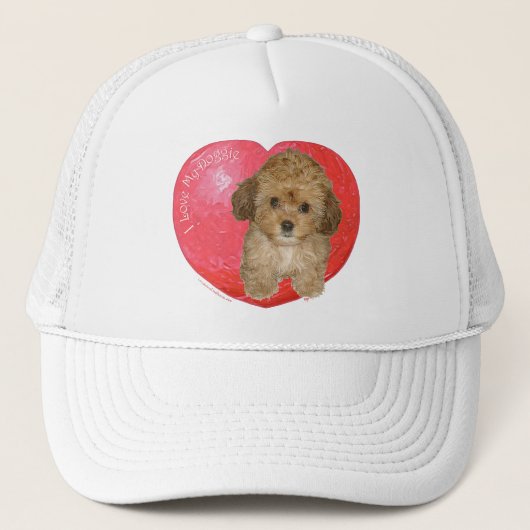 Cavachon Valentine Truckerkappe (Vorderseite)