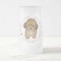 Cavachon Welpe erstes Weihnachten