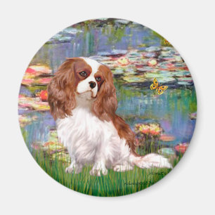 Cavalier 2 (bl) - Lilies 2 Magnet