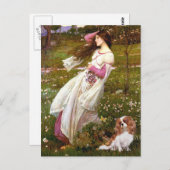 Cavalier 2 (Bl) - Windblumen Postkarte (Vorne/Hinten)