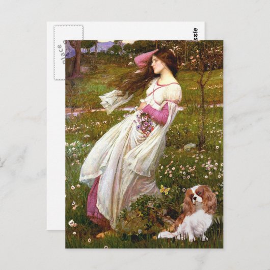 Cavalier 2 (Bl) - Windblumen Postkarte (Vorne/Hinten)