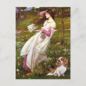 Cavalier 2 (Bl) - Windblumen Postkarte (Vorderseite)