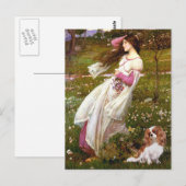 Cavalier 2 (Bl) - Windflowers Postkarte (Vorne/Hinten)