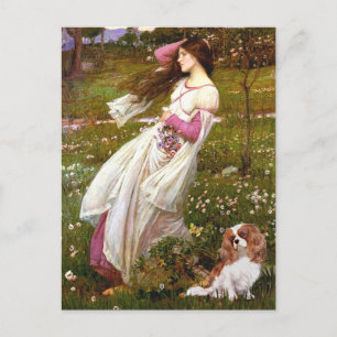 Cavalier 2 (Bl) - Windflowers Postkarte