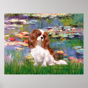 Cavalier 2 (Blenheim) - Lilien 2 Poster