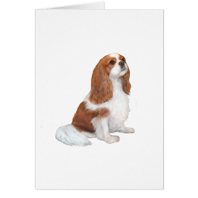 Cavalier A1 - Blenheim (F) (Vorne)