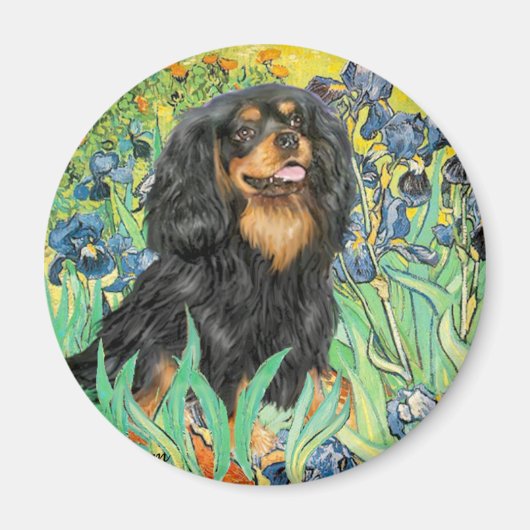 Cavalier (BT) - Schwertlilien Magnet (Vorne)