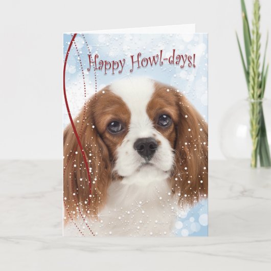 Cavalier Christmas Card Feiertagskarte (Vorderseite)