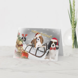 Cavalier haben ein glückliches Weihnachtsfest Feiertagskarte