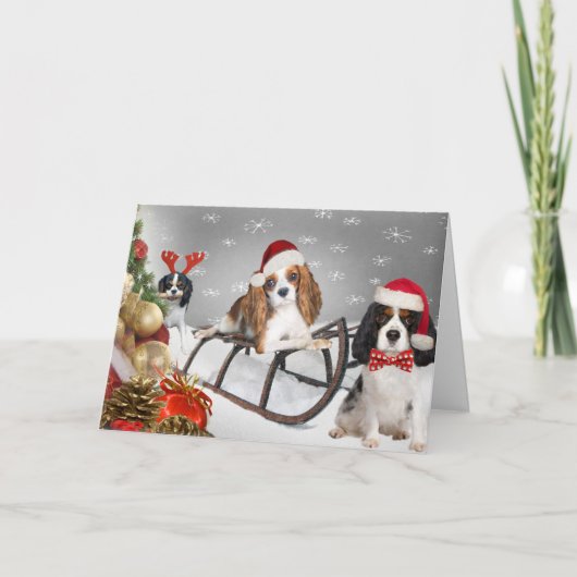 Cavalier haben eine Yappy Weihnachtskarte Feiertagskarte (Vorderseite)