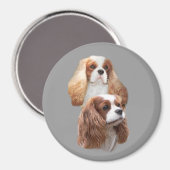 Cavalier Hübsch Girls Magnet (Vorderseite/Rückseite)