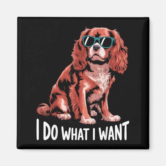 Cavalier King Charles Art For Men Women Cavalier S Magnet (Vorne)