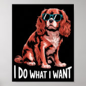 Cavalier King Charles Art For Men Women Cavalier S Poster (Vorne)