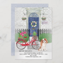 Cavalier King Charles Bicycle Neue Zuhause Ankündigung