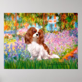 Cavalier King Charles (Blenheim) - Garten Poster (Vorne)
