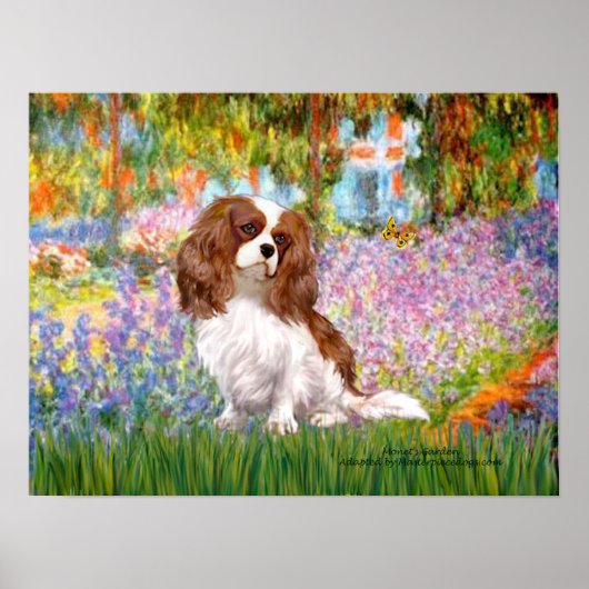 Cavalier King Charles (Blenheim) - Garten Poster (Vorne)