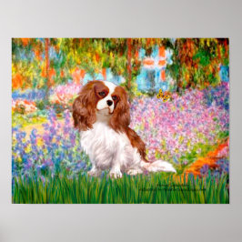 Cavalier King Charles (Blenheim) - Garten Poster