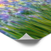 Cavalier King Charles (Blenheim) - Garten Poster (Ecke)