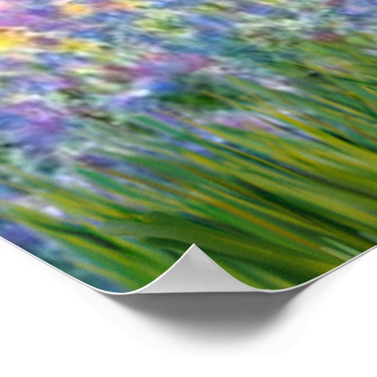 Cavalier King Charles (Blenheim) - Garten Poster (Ecke)