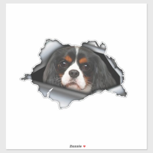 Cavalier King Charles car decal, Cavalier King Aufkleber (Blatt)