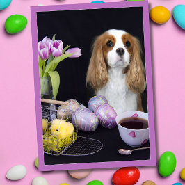 Cavalier King Charles Easter Tulips Eggs Card Feiertagskarte