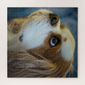 Cavalier King Charles Jigsaw Puzzle (Horizontal)