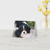 Cavalier King Charles Karte (Gelbe Blume)