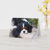 Cavalier King Charles Karte (Gelbe Blume)