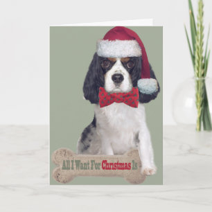 Cavalier King Charles Kisses zu Weihnachten
